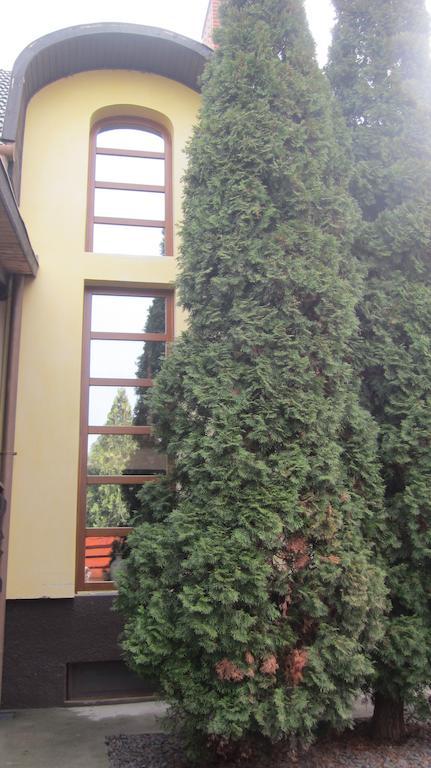 Emi Vendégház Balatonszárszó Exterior foto